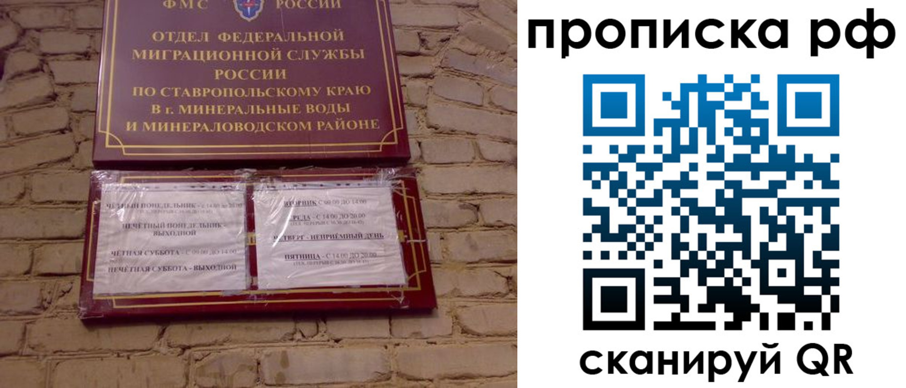 временная регистрация в Димитровграде